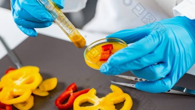 全麦饼干进口品牌推荐